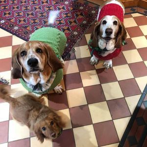 Meet your Posher, Christina